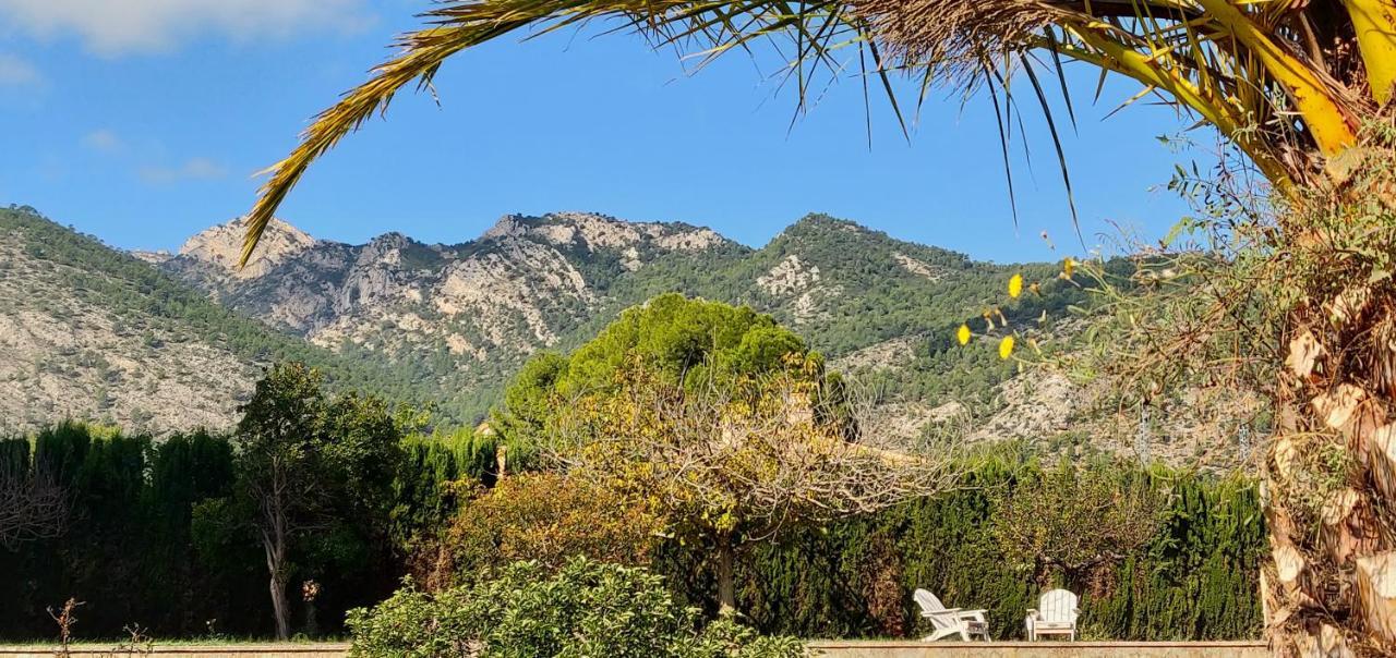 Casa De Los Lirios Muro de Alcoy Eksteriør billede